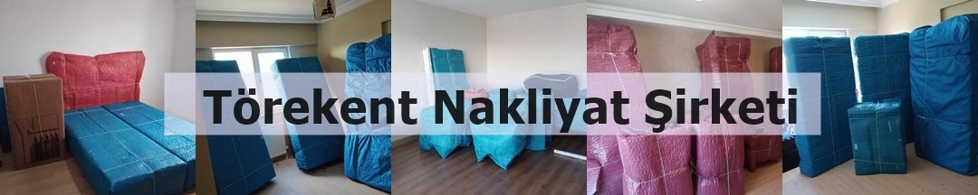 Törekent Nakliyat görseli